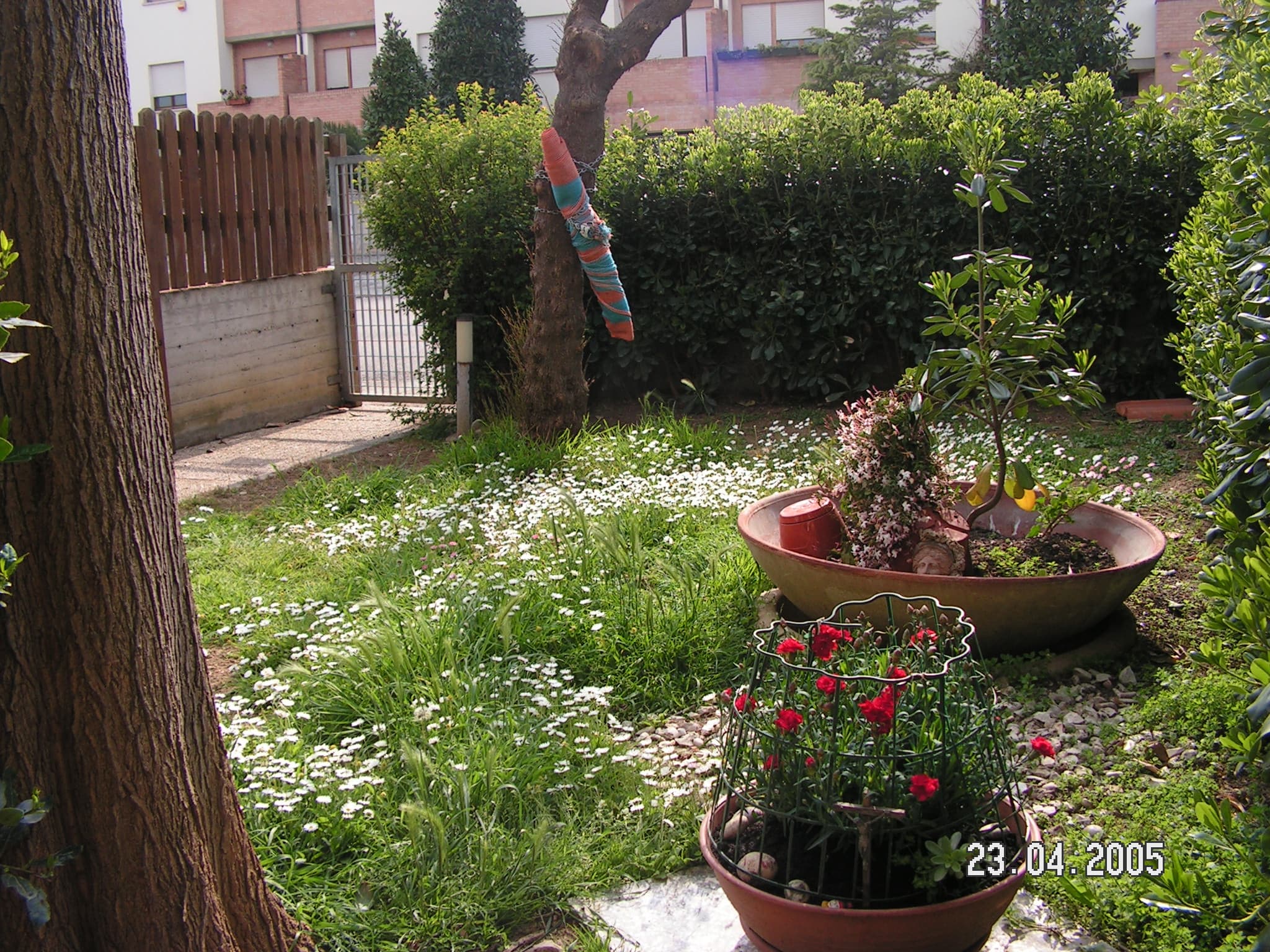 B&b La Villetta Di Gio - Foto 4