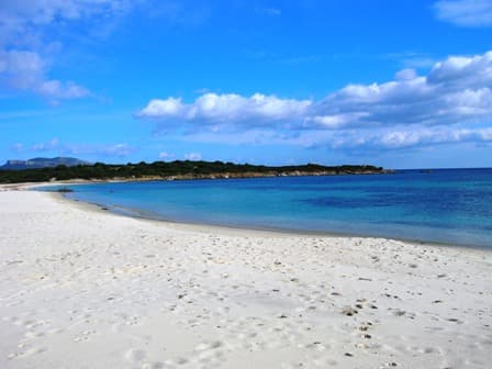 2-Room Apartment – soli 150 metri dal mare - Apartment a Olbia