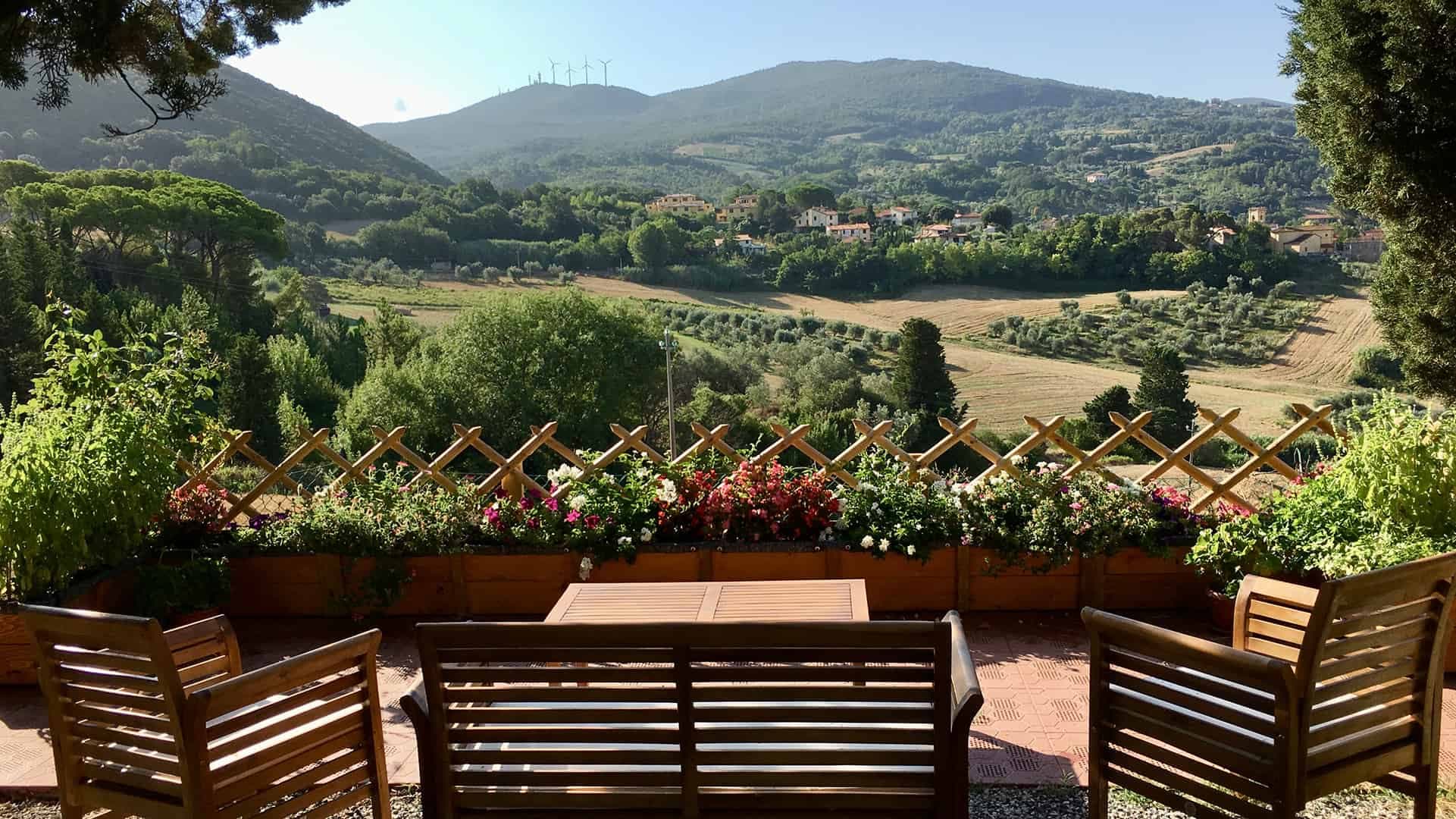 Macchia Al Pino - Pisa (PI) - Foto 2