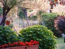 B&B In Isola - Rosolina (RO) - Foto 3