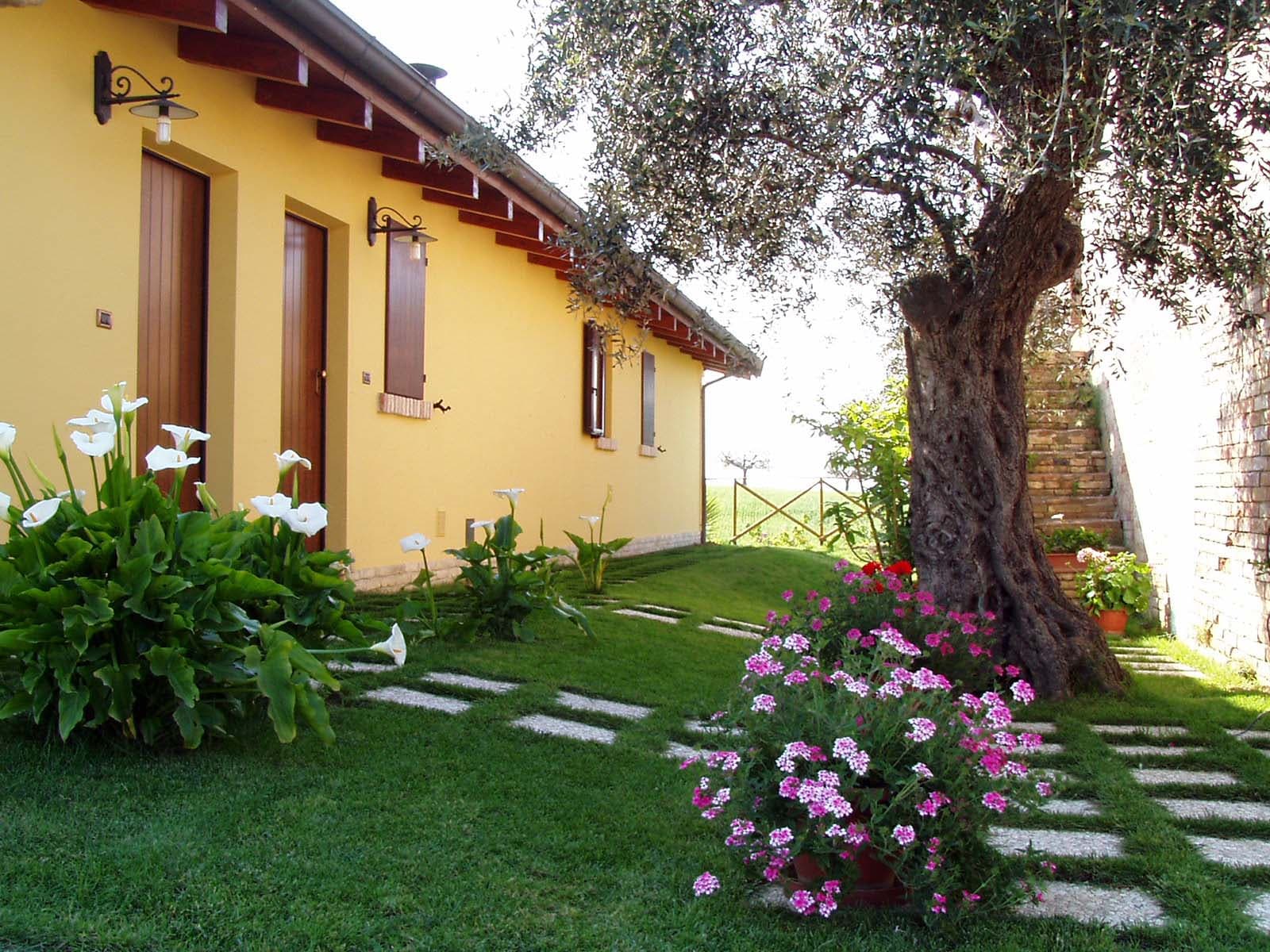 Agriturismo Tenuta Santa Maria - Agriturismo / Cascina a Notaresco (TE)