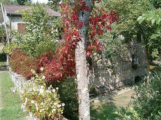Appartement 2 pièces – Appartamenti Antico Mulino - Appartement a Borgotaro (PR)
