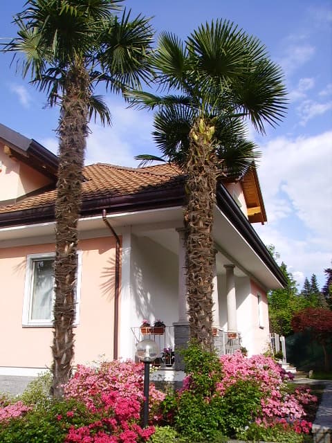 B&B Ori - Villa Oriana - Bed & Breakfast a Baveno