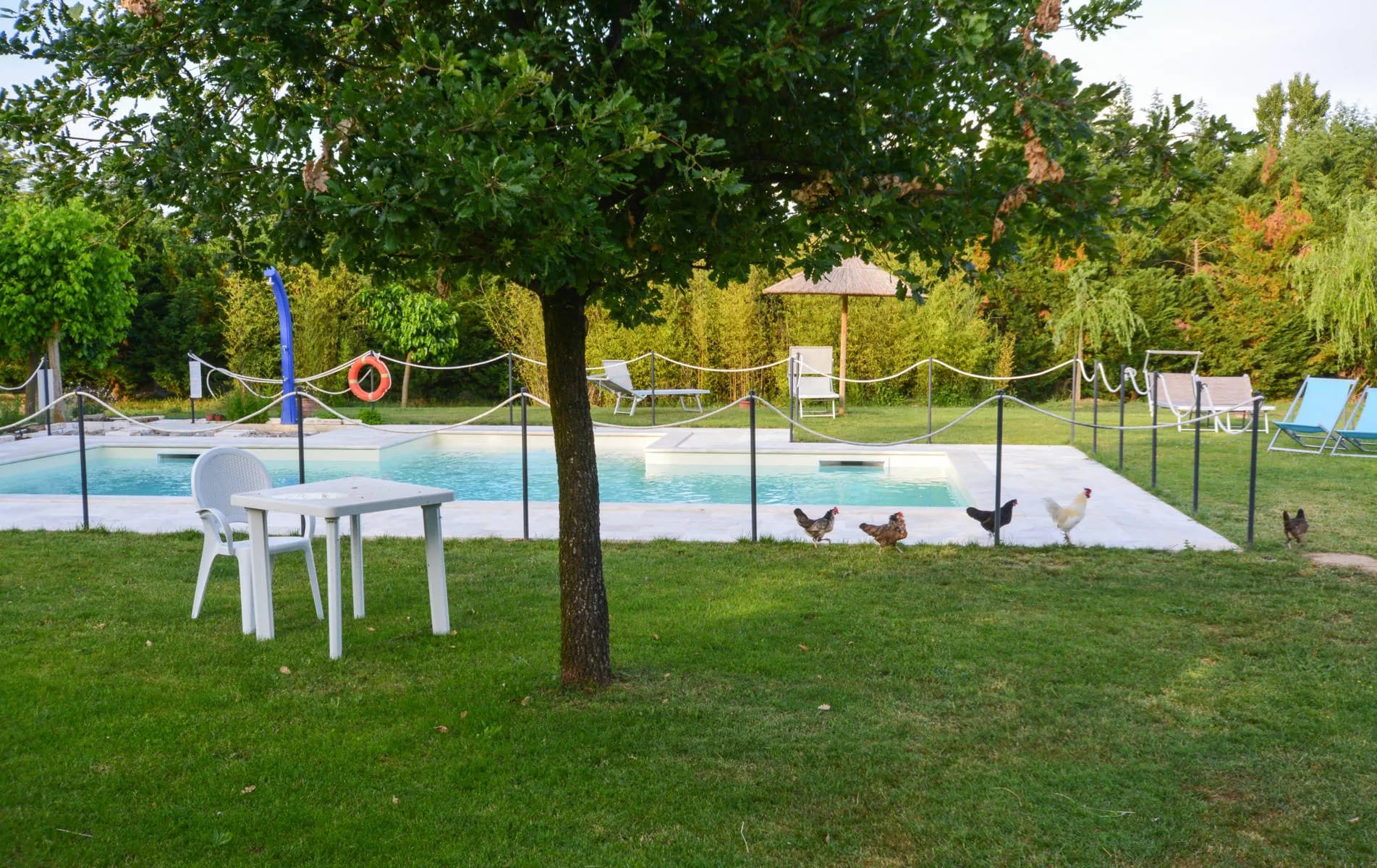 Agriturismo Dolce Verde - Castiglione del Lago (PG) - Foto 4
