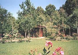 Complejo vacacional Camping Pineta di Sibari - Sibari (MI) - Foto 3