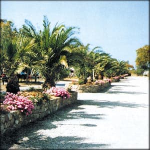 Camping Village Onda Azzurra - Foto 4