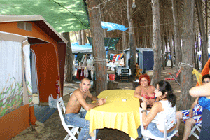 Campsite Villaggio La Porta del sole - S. Ferdinando (MI) - Foto 2