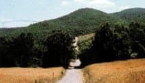 Chambre privée – La Locanda di Villa Toscana - Bibbona (LI) - Foto 3